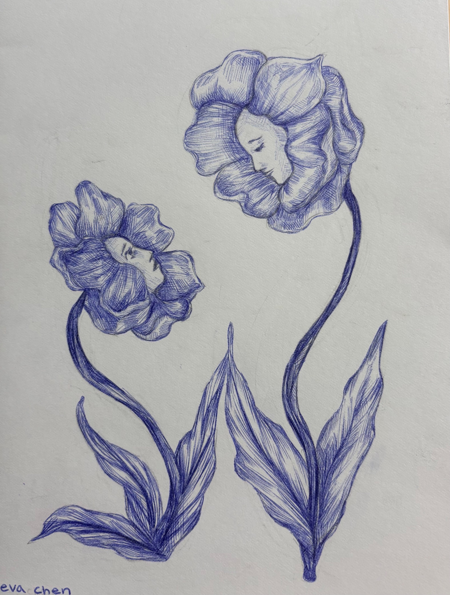 Two flowers with faces